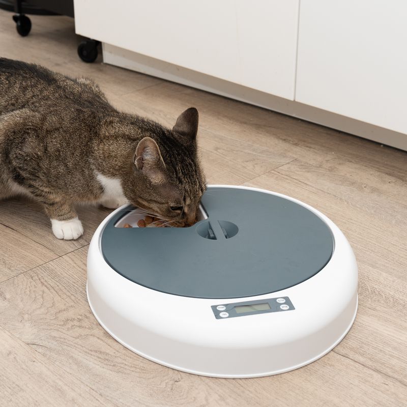Distributore automatico cibo gatti NOMA – fino a 5 pasti programmabili – funzionamento a batterie
