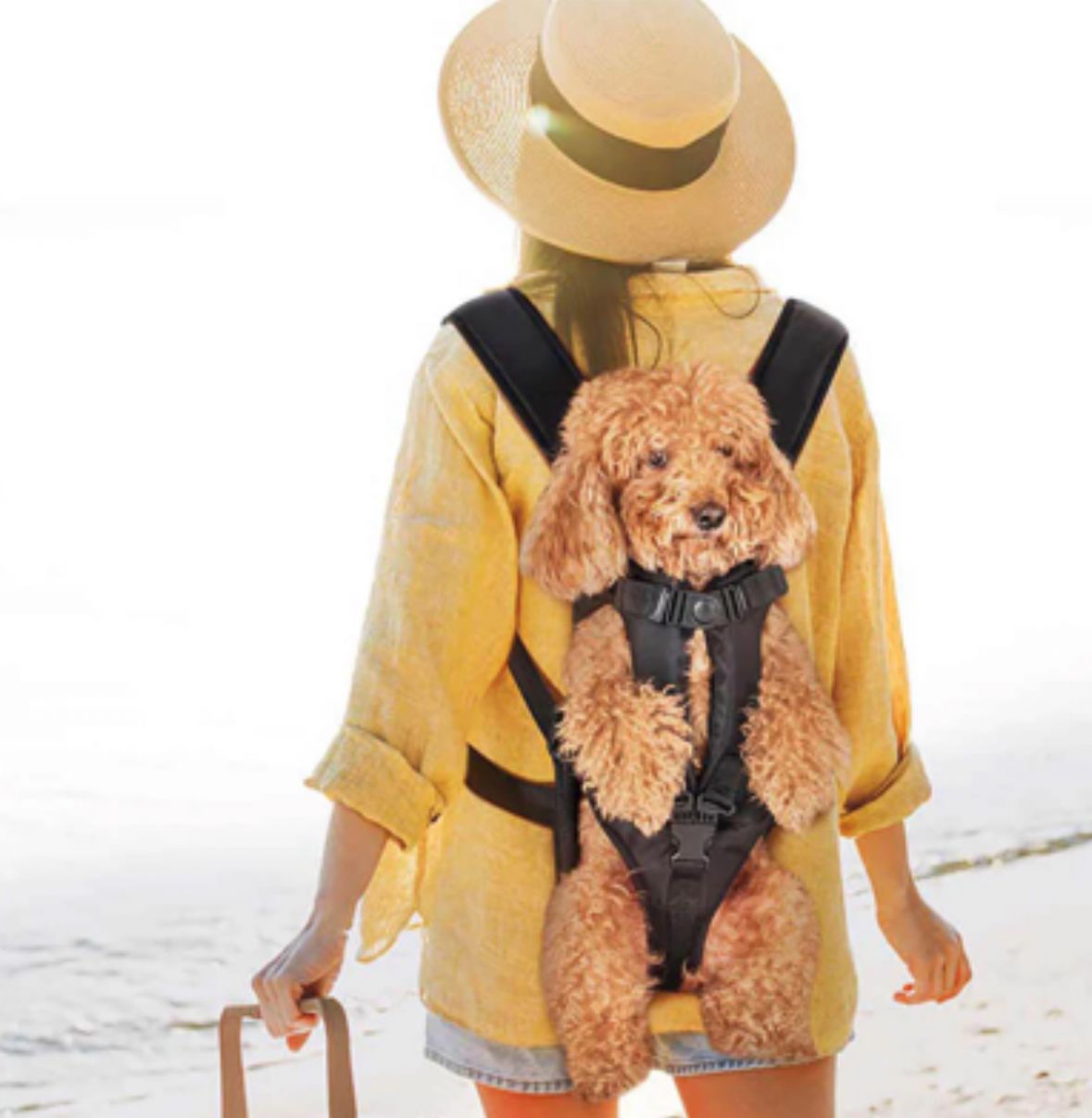 Zaino porta animali Cockpit FunnyFuzzy – traspirante, impermeabile, multifunzione – per cani e gatti