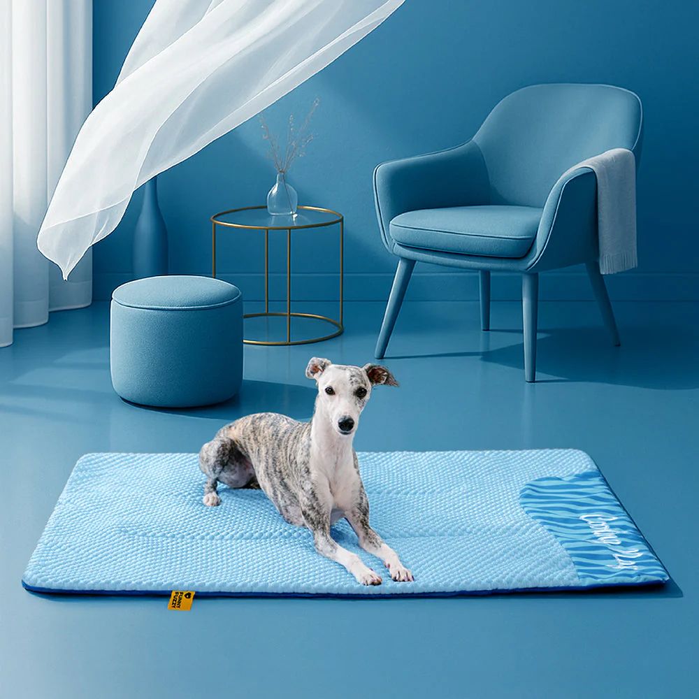 Tappetino rinfrescante grande per cani e gatti – lavabile, antiscivolo, effetto fresco naturale