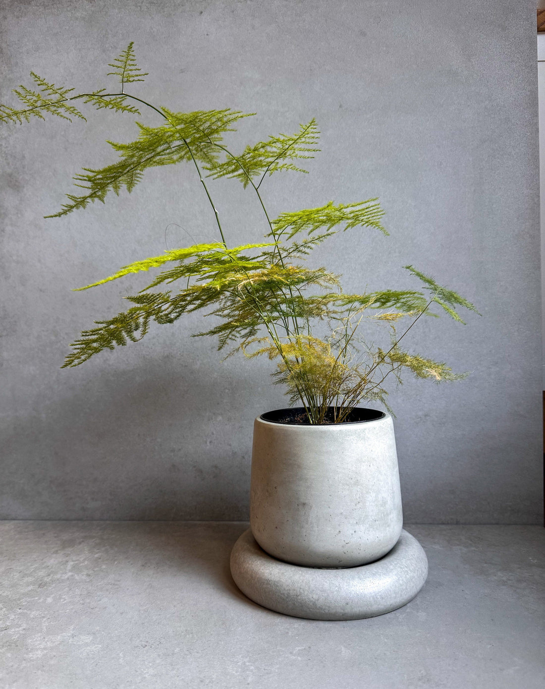 Vaso in Cemento Moderno con Sottovaso – Design Minimalista Ø18 cm, Solo Spedizione in Italia